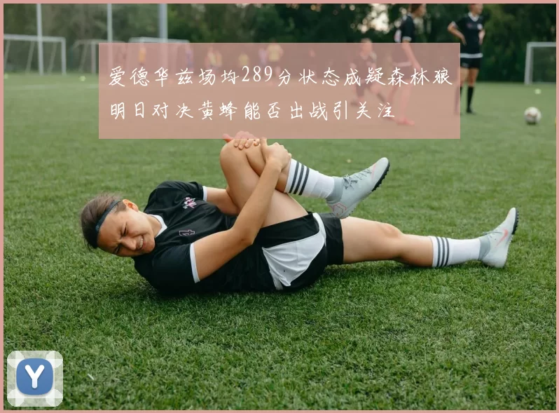 爱德华兹场均289分状态成疑森林狼明日对决黄蜂能否出战引关注